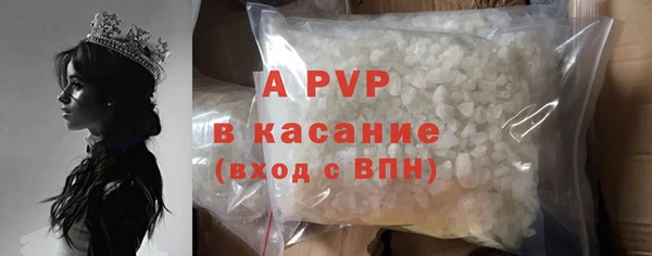 spice Осташков