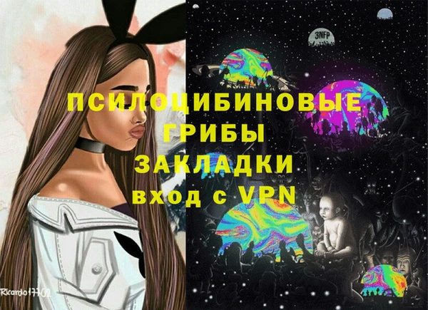 spice Осташков