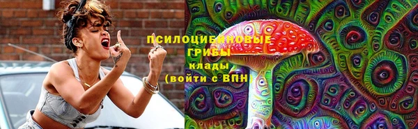 spice Осташков