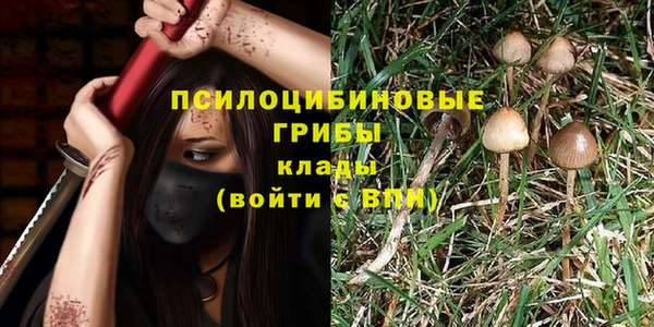 индика Болхов