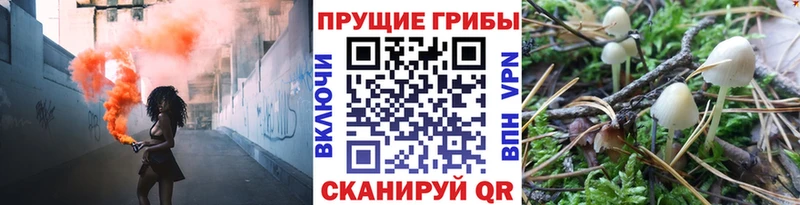 Галлюциногенные грибы прущие грибы где можно купить МЕГА вход Балаково