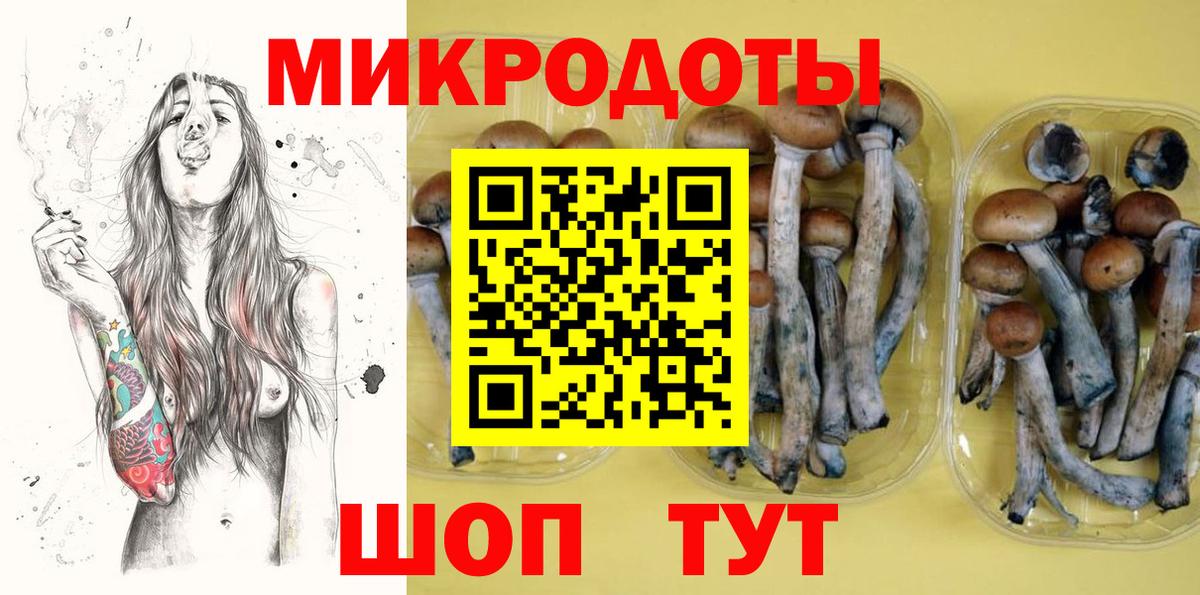 Псилоцибиновые грибы MAGIC MUSHROOMS  Вход с VPN  Балаково 